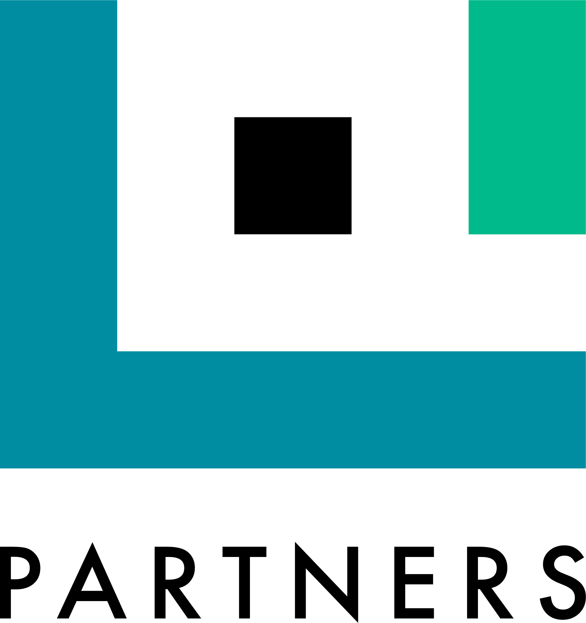 LI PARTNERS